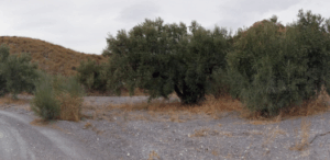 foto instalaciones planta de residuos barcelona